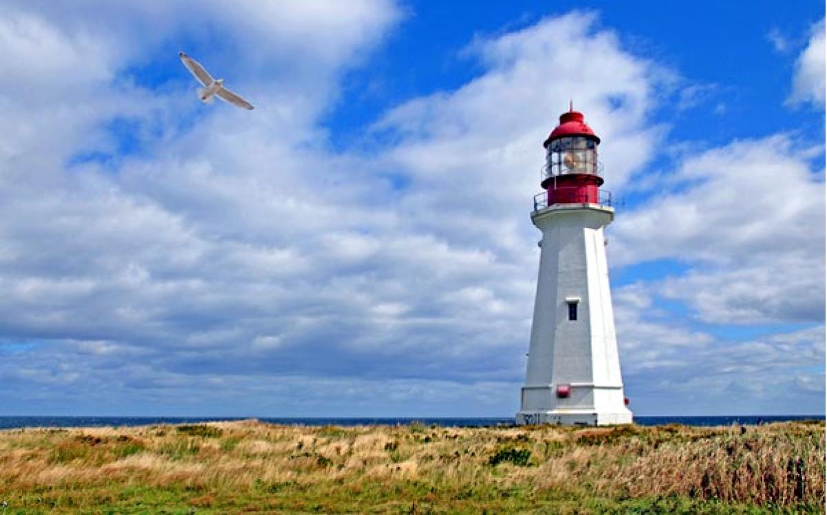 Lighthouses dotting Indias coastline to turn beacons of tourism