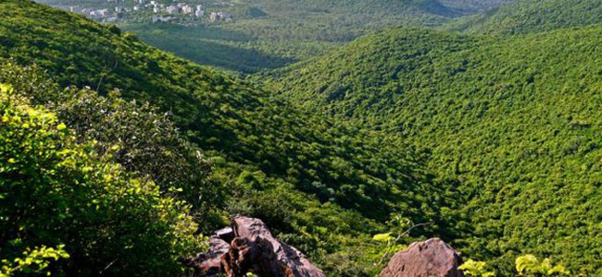 Forest cover up in AP; Vizag tops