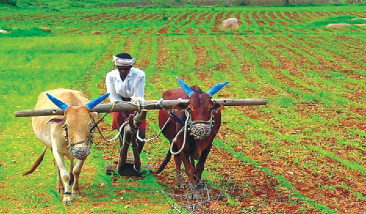 Transforming agriculture with e-technology