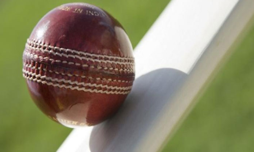 Kolkata cricketer dies on the field