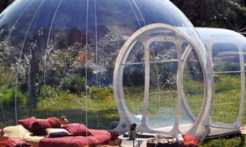 Ooty is the Perfect Destination to experience the wilderness Under the blanket of sky -The glass Igloo tent is the new real thing