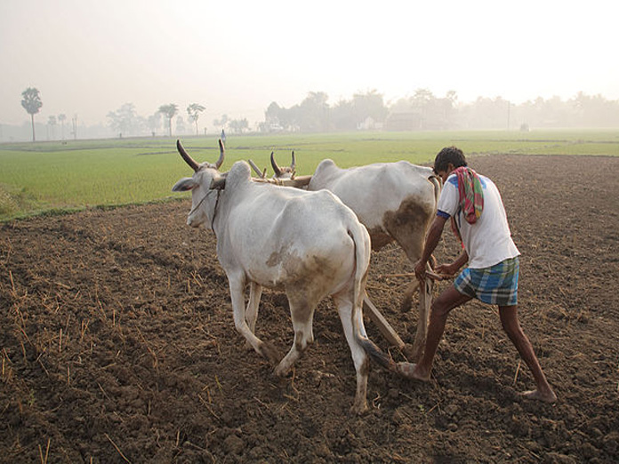 Budget wish list for revival of rural and agricultural economy