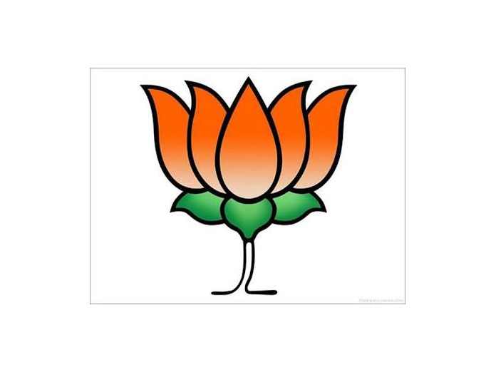 Youth wing to spread awareness on BJP’s schemes