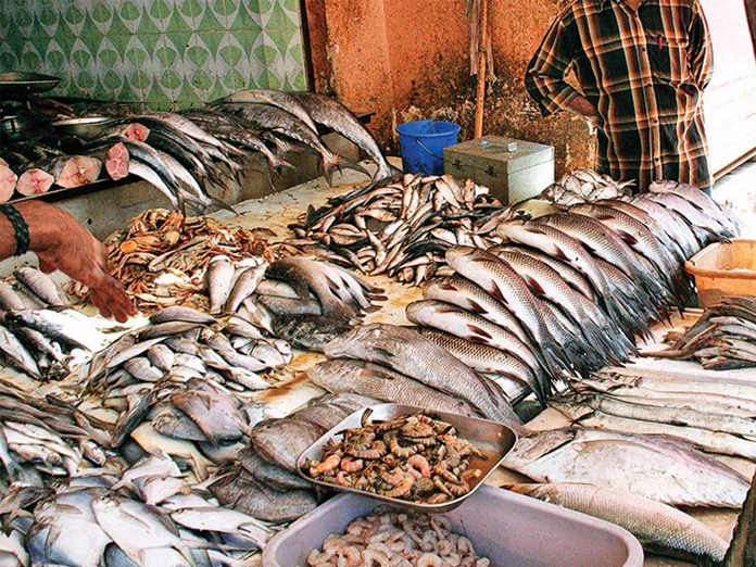 In Patna, Ban On Sale Of Fish For 15 Days Over Reports Of Excess Formalin