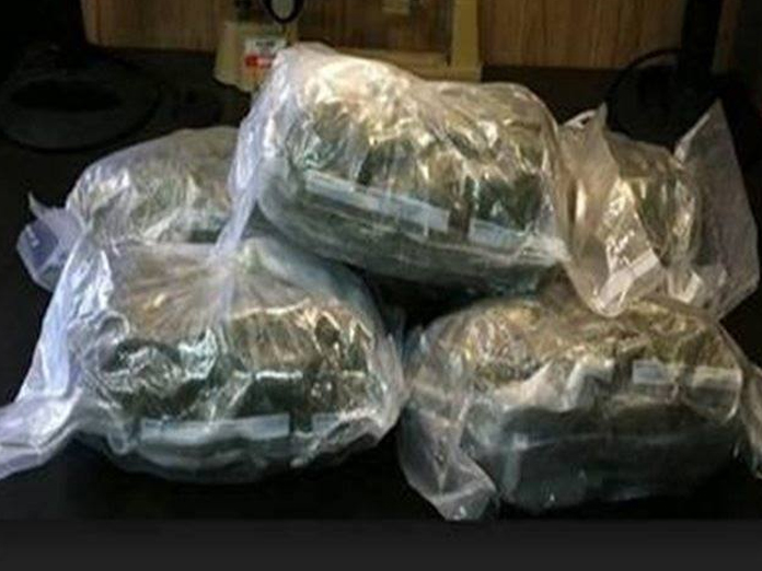 5 drug smugglers held, 50 kg marijuana seized in Hyderabad