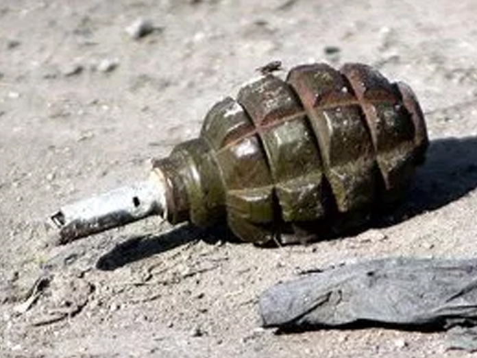 Man held with grenade in J - Ks Kupwara district