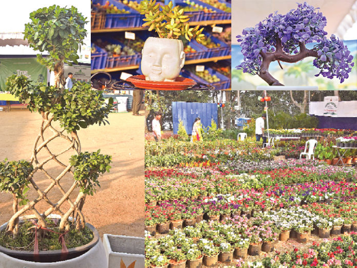 Nat’l horticulture expo kicks off