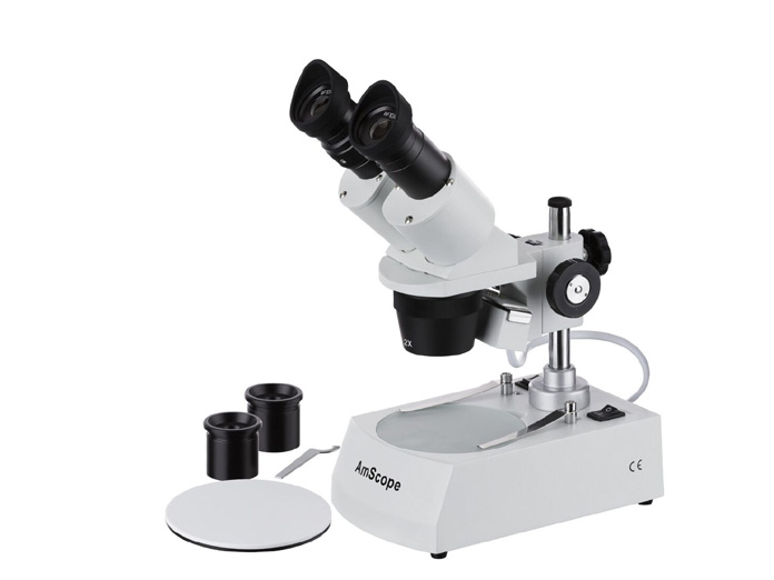 How to use a stereo microscope