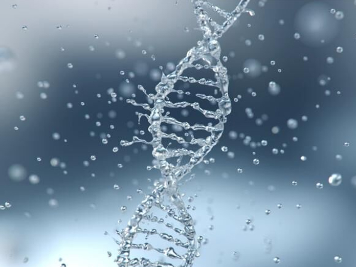 Now, gene therapy promotes nerve regeneration