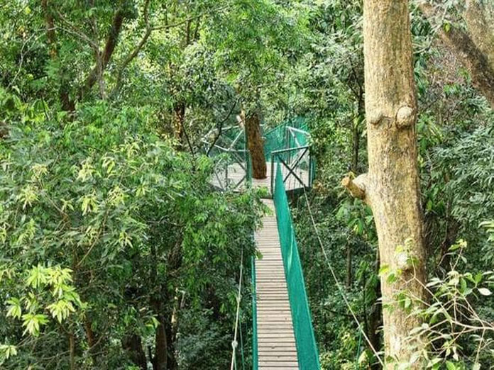 Tussle between villagers and forest department shuts down Indias canopy walk