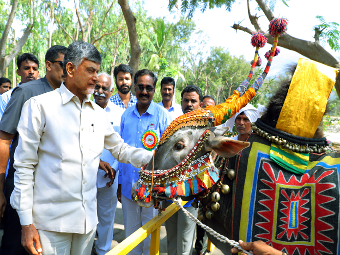 Chandrababu Naidu mulling pension for husband and wife