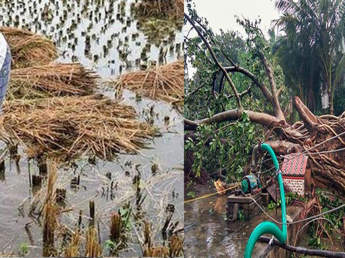 AP Govts preliminary report on cyclone Phethai damage