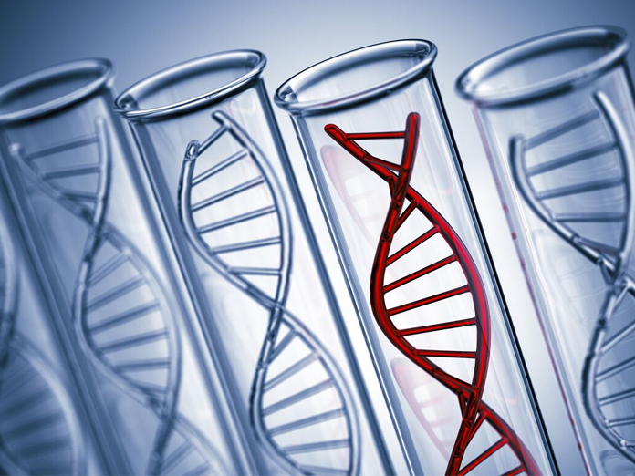Could DNA screening test become norm to detect genetic diseases?