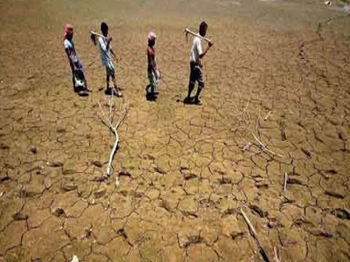 Centre gives Rs 949 cr aid to drought-hit Karnataka
