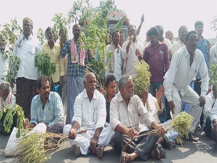 Debt-ridden Tulasi farmers demand relief