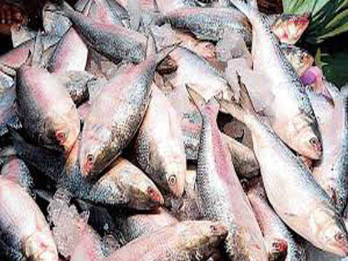 Bihar team inspects West Godavari fish exporting unit