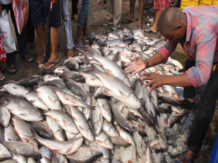 Ban on fish sale in Patna after reports of excess formalin