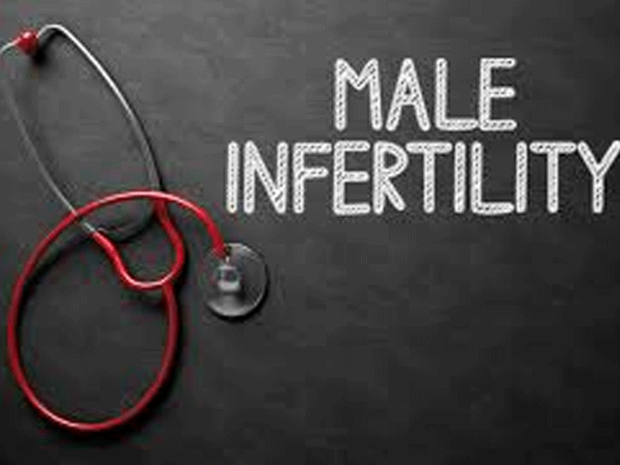 Male infertility related to gene composition
