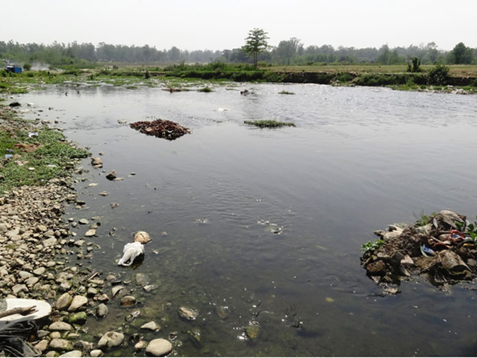 Uttarakhand govt to rejuvenate Rispana and Bindal rivers