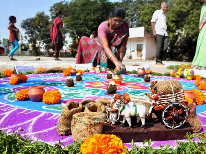 Sankranti festival celebrations at Ayodhya grounds
