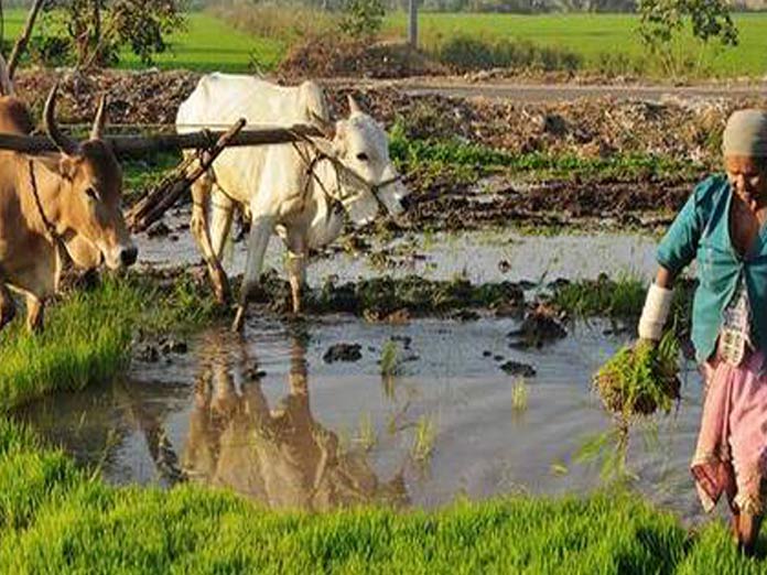 All set for PM’s Kisan Samman Nidhi rollout