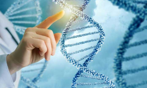 Gene editing therapy may reverse ageing: Study