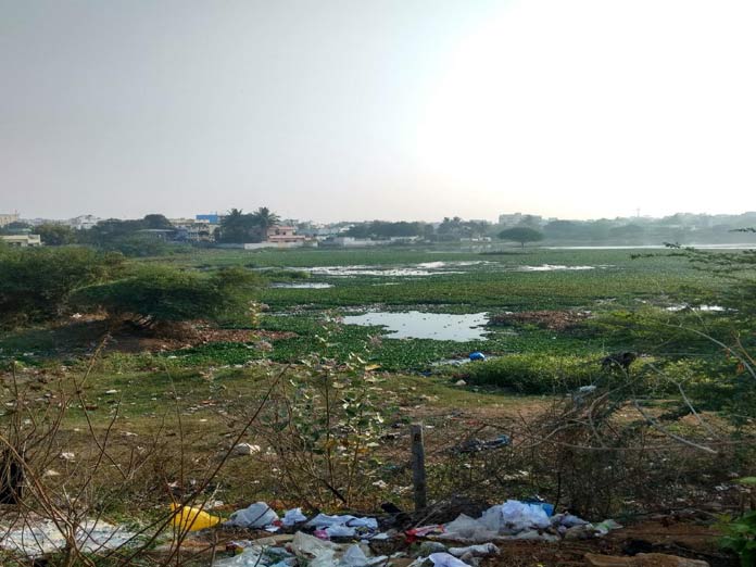 Chinnarayauni Cheruvu in its death throes