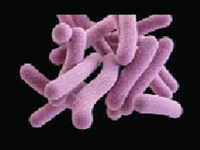 Researchers identify molecule effective in killing TB bacteria