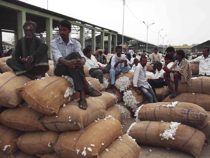 Minimum support price hike fails to cheer cotton farmers