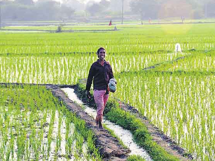 AP farmers to get cheques under debt-redemption scheme