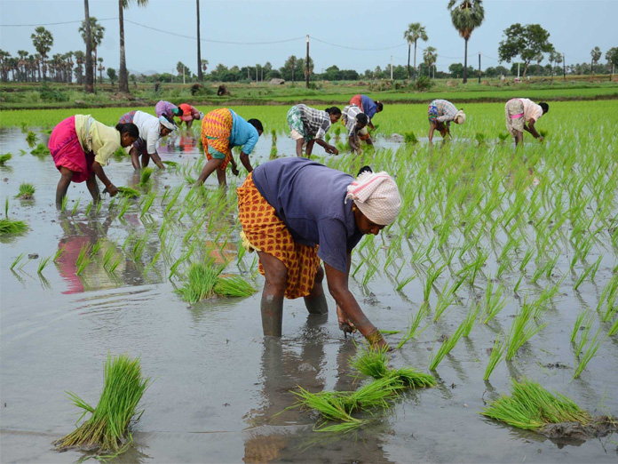 Interim Budget for 2019-20: Farmer first