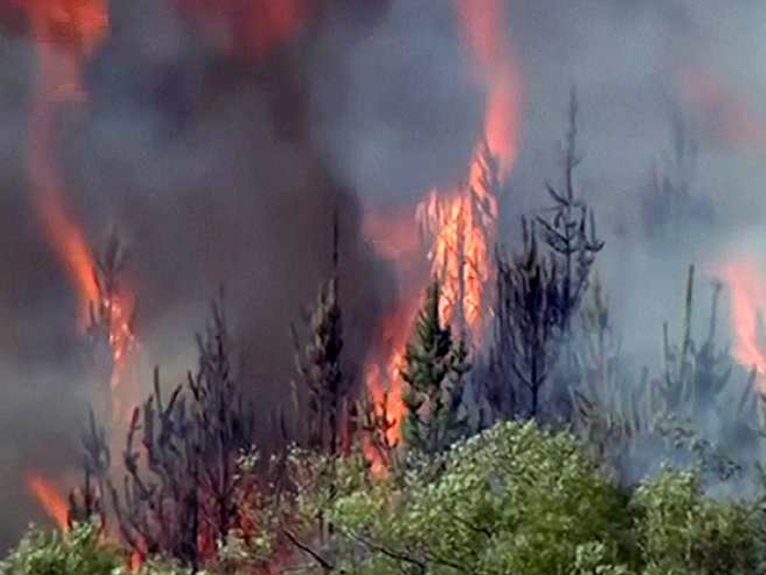 Thousands evacuated after New Zealand wildfire