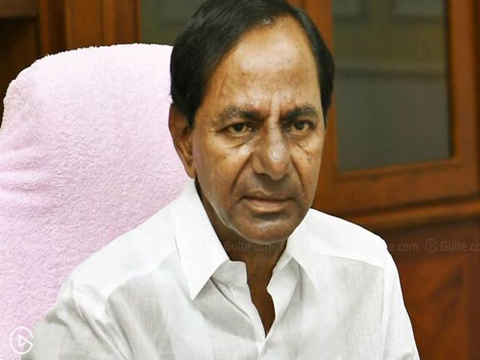 State growing by leaps and bounds, says KCR