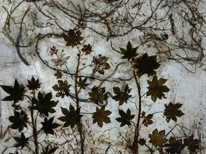 Nature unravelled through Art