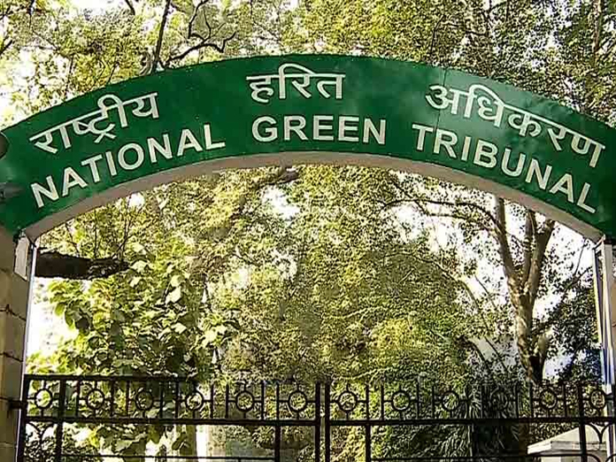 Mere passing orders not enough, ensure action against violations: NGT to authorities