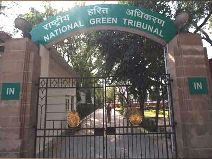 Authorities need to ensure action against violators, says NGT