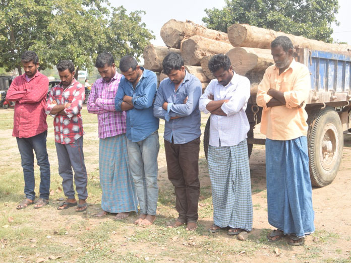 7 smugglers held; 3 lakh worth logs seized