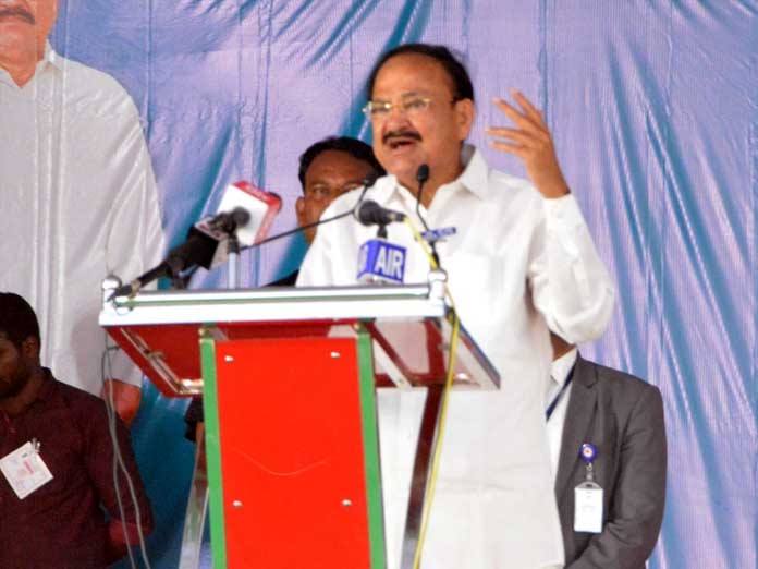 Vice President calls for concerted efforts for Nellore development