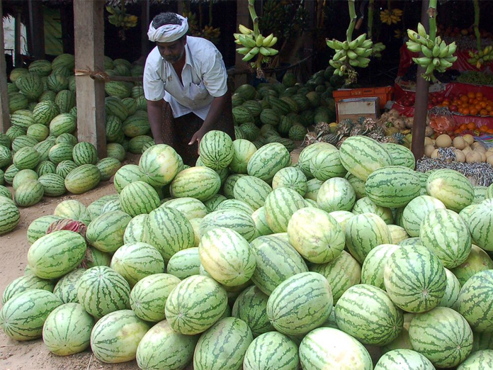 Watermelon price skyrockets