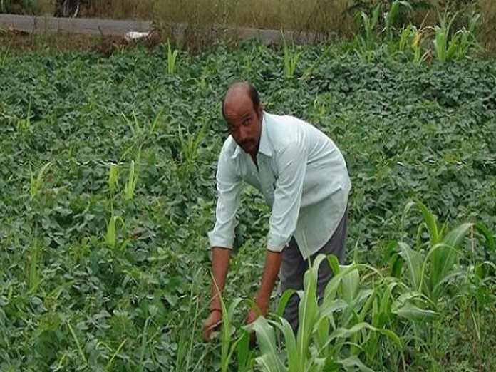 5L farmers to benefit under Sukhibhava in Guntur dist
