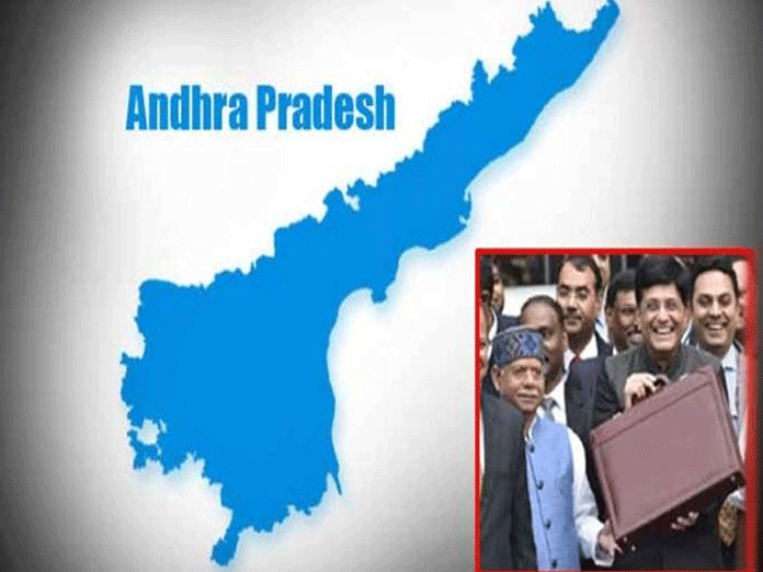 Union budget 2019 disappointing to Andhra Pradesh