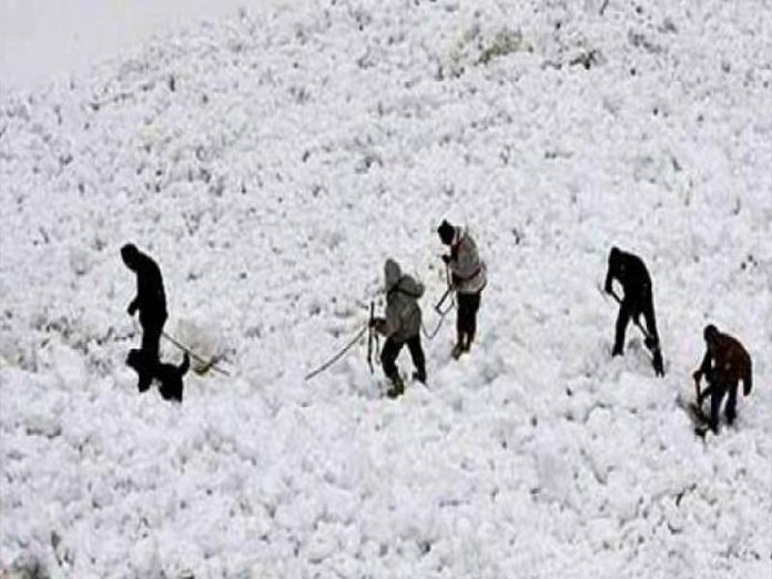 Joint rescue operation resumed for 5 missing Army personnel in avalanche