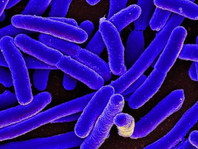 Method to identify antibiotics-resistant bacteria developed