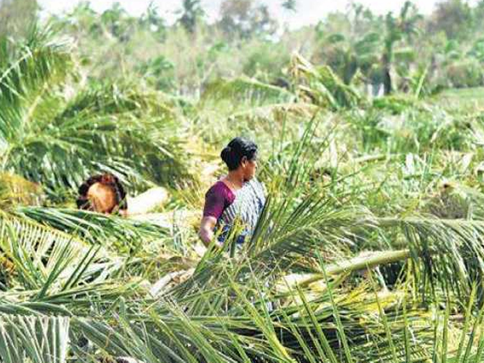 Central team interacts with cyclone-hit farmers 