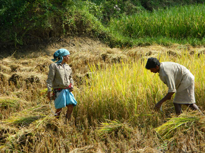 Andhra farmers to get cheques under debt-redemption scheme