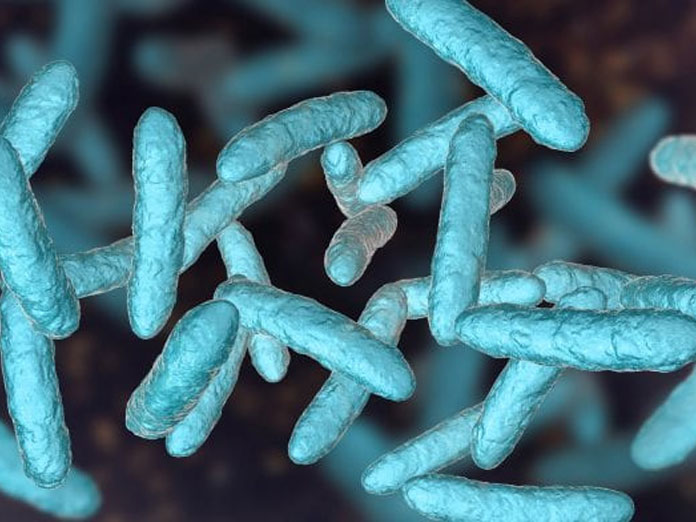 2,000 unknown bacteria species found in human gut