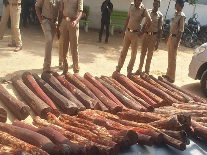 16 red sanders logs seized, 12  held