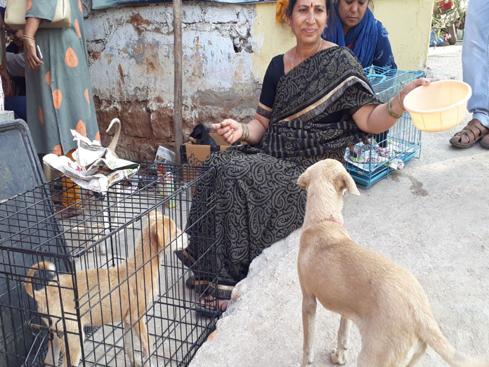 Finding caring hearts for stray puppies