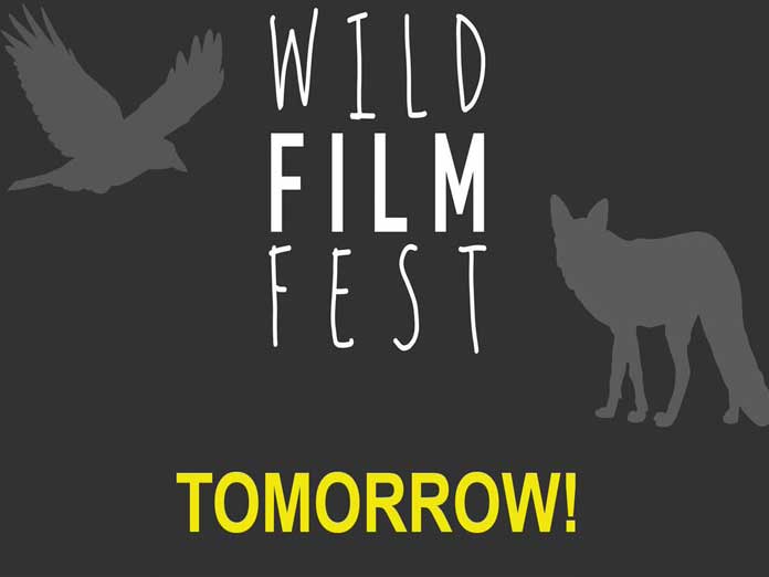 Wildlife film fest from tomorrow