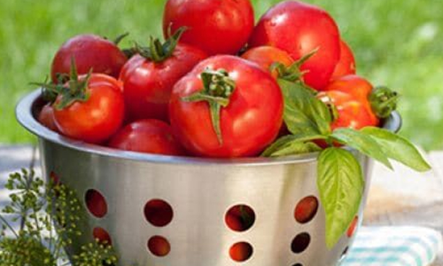 Eat tomatoes to fight liver cancer, inflammation